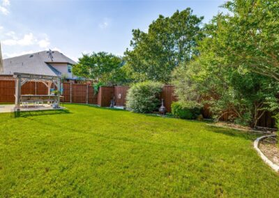 backyard