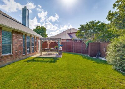backyard2
